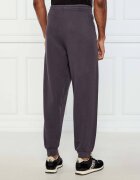EA7 Pantaloni de trening | Regular Fit