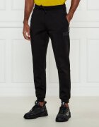 EA7 Pantaloni de trening | Regular Fit