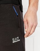 EA7 Pantaloni de trening | Regular Fit