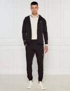 EA7 Pantaloni de trening | Regular Fit