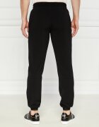EA7 Pantaloni de trening | Regular Fit