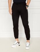 EA7 Pantaloni de trening | Regular Fit