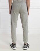 EA7 Pantaloni de trening | Regular Fit