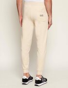 EA7 Pantaloni de trening | Slim Fit