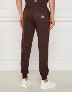 EA7 Pantaloni de trening | Slim Fit