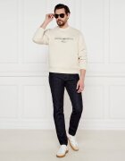 Emporio Armani Hanorac | Regular Fit