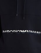 Emporio Armani Hanorac | Regular Fit