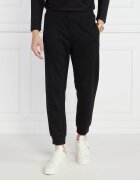 Emporio Armani Pantaloni de trening | Regular Fit