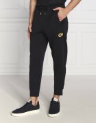 Emporio Armani Pantaloni de trening | Regular Fit