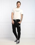 Emporio Armani Pantaloni de trening | Regular Fit