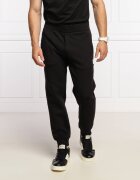 Emporio Armani Pantaloni de trening | Regular Fit
