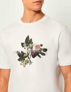 Emporio Armani Tricou | Regular Fit