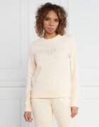 Gant Hanorac REG TONAL SHIELD | Regular Fit