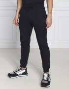 GUESS ACTIVE Pantaloni de trening ALDWIN | Regular Fit