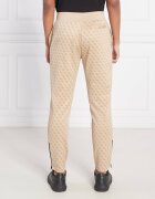 GUESS ACTIVE Pantaloni de trening KORBIN | Regular Fit