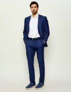 Hechter Paris Pantaloni | Slim Fit cu adaos de lână