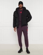 HUGO De puf geacă Bironto2441 | Regular Fit