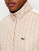 Lacoste Hanorac | regular fit