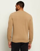 Lacoste Pulover | regular fit