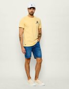 Lacoste Tricou | x Novak Djokovic | regular fit