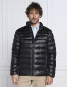 Polo Ralph Lauren Geacă | Regular Fit