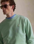 Polo Ralph Lauren Hanorac | regular fit