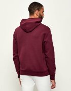 Polo Ralph Lauren Hanorac | Regular Fit