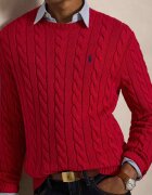 Polo Ralph Lauren Pulover | Regular Fit