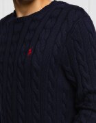 Polo Ralph Lauren Pulover | Regular Fit
