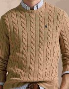 Polo Ralph Lauren Pulover | Regular Fit