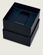 Tommy Hilfiger Ceas Luca 1710494