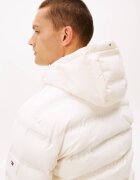 Tommy Hilfiger Geacă | regular fit