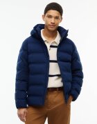 Tommy Hilfiger Geacă | regular fit