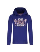Tommy Hilfiger Hanorac | Regular Fit