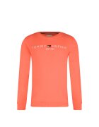 Tommy Hilfiger Hanorac | Regular Fit