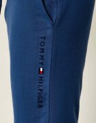 Tommy Hilfiger Pantaloni scurți | regular fit