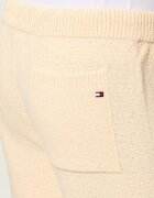 Tommy Hilfiger Pantaloni scurți | regular fit