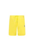 Tommy Hilfiger Pantaloni scurți | Regular Fit