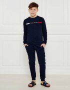 Tommy Hilfiger Trening | Regular Fit