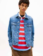 Tommy Jeans De blugi geacă Ryan | regular fit