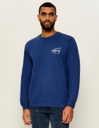 Tommy Jeans Hanorac Entry Signature | regular fit