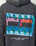 Tommy Jeans Hanorac | regular fit