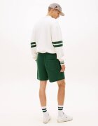 Tommy Jeans Pantaloni scurți | regular fit