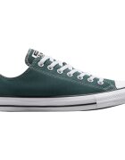 Converse Tenisi unisex Chuck Taylor All Star A10537C