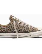 Converse Tenisi unisex Chuck Taylor All Star A19182C