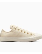 Converse Tenisi unisex Chuck Taylor As A13814C