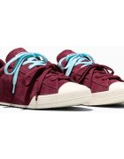 Converse Tenisi unisex Chuck Taylor Lo A20130C