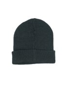 DC Shoes Fes barbati Label Beanie ADYHA04164-KVJ0