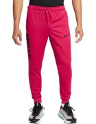 Nike Pantaloni barbati FC Dri-Fit DC9016-614