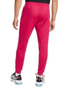 Nike Pantaloni barbati FC Dri-Fit DC9016-614